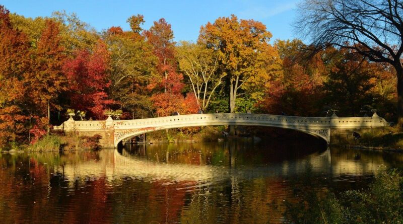 Diana Krall - Autumn In New York 미분류 | 투유(To You)