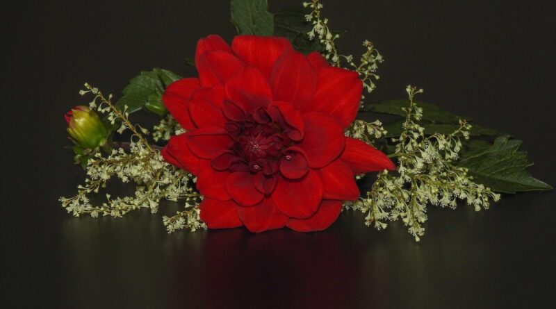 Jean Francois Maurice-28°A L'ombre Chanson | 투유(To You)