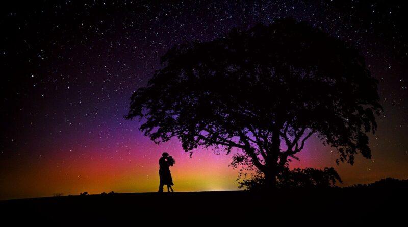 이십세기 이승환,