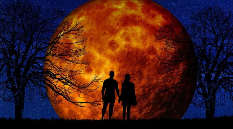 Il Volo - L'amore si muove Canzone | 투유(To You)