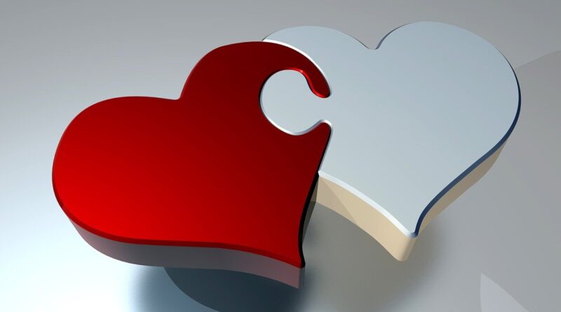 Michael Franks - Vivaldi's Song Bossa Nova | 투유(To You)