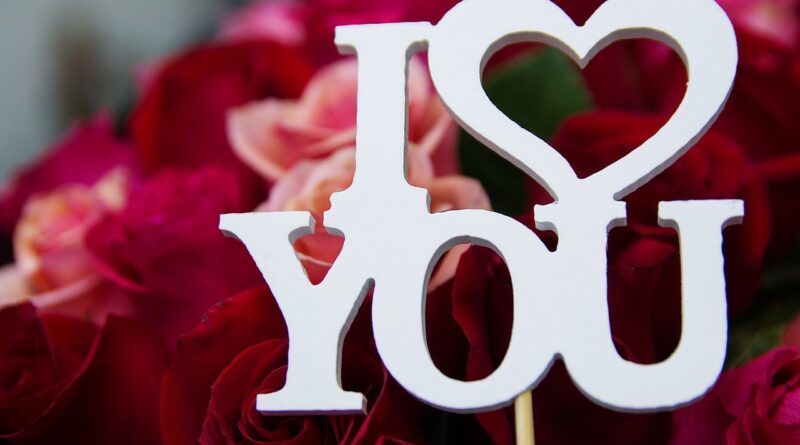 Lucia (심규선) - 꽃처럼 한 철만 사랑해 줄 건가요? K-Pop | 투유(To You)