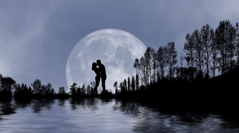 Leonard Cohen - A Thousand Kisses Deep Pop | 투유(To You)