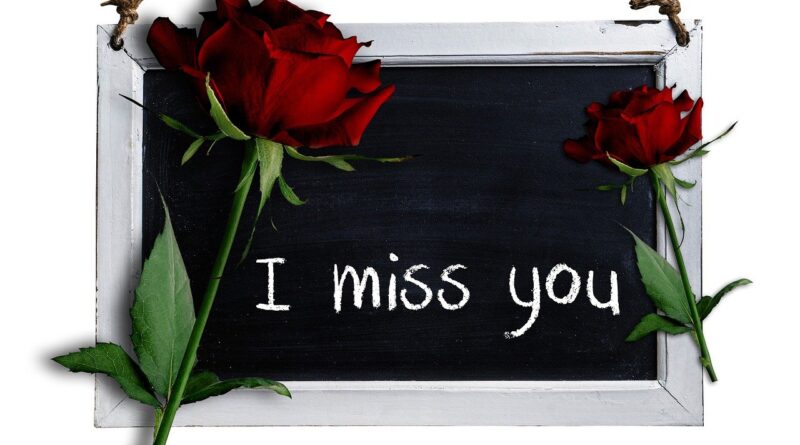 적우-기다리겠소 Recommendation | 투유(To You)