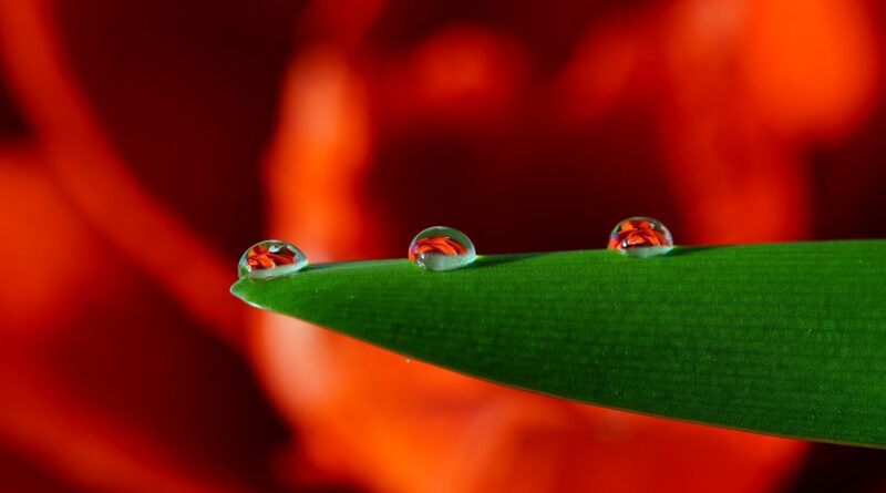 조관우 - 눈물 (Tears) Ballad | 투유(To You)