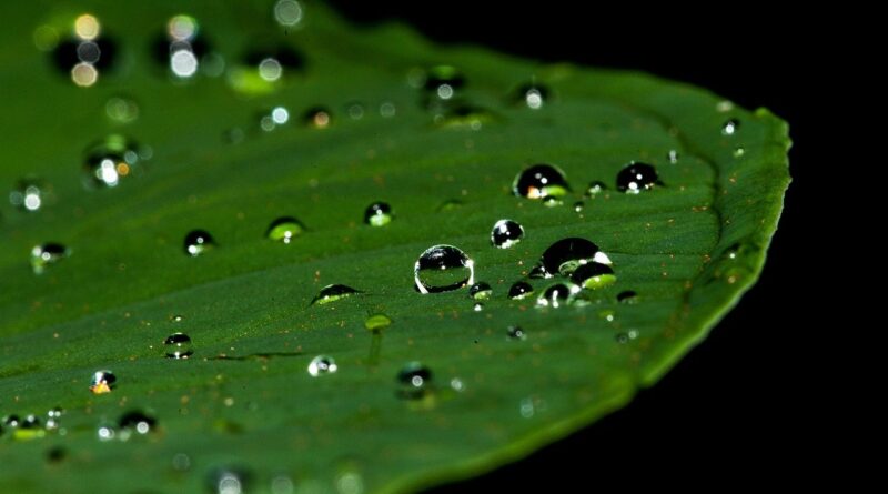 나훈아, 내삶을 눈물로 채워도
