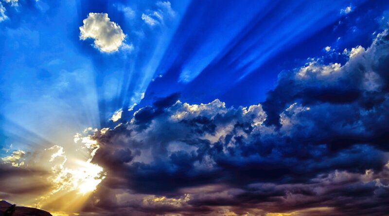 송소희, 포레스텔라