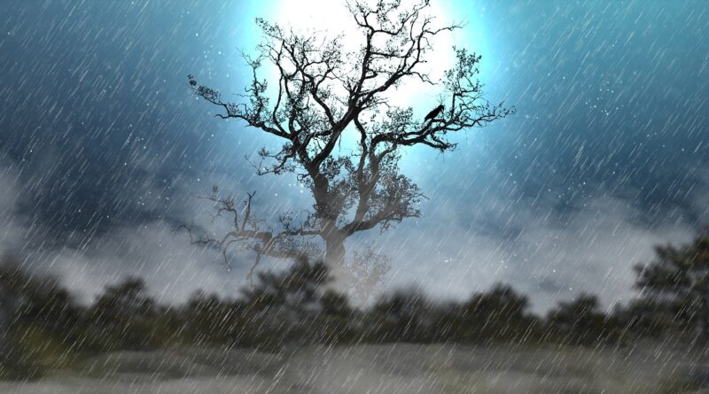 BTS(방탄소년단) - Rain