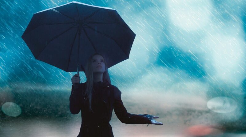 럼블 피쉬 - 비와 당신 K-Pop | 투유(To You)