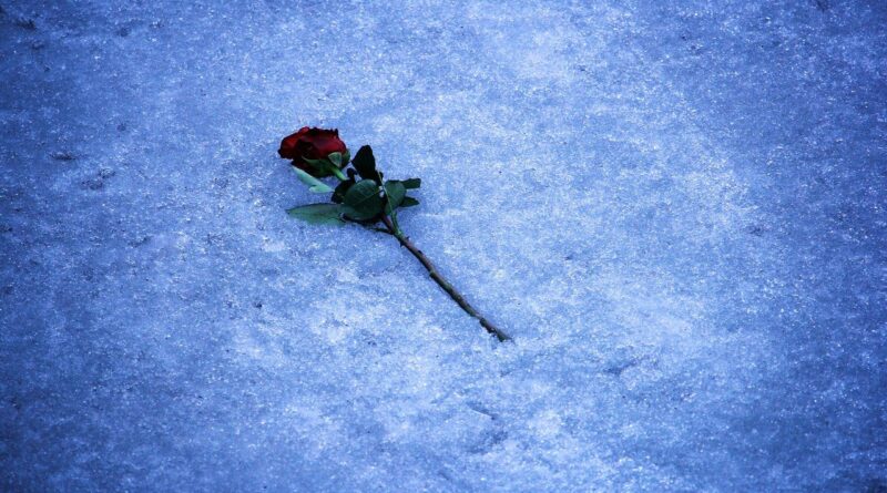 박새별, 너무 아픈 사랑은 사랑이 아니었음을