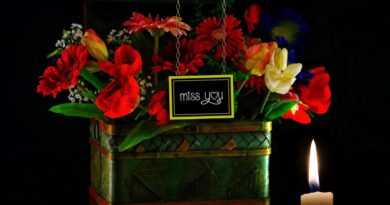 Dimash Kudaibergen – Димаш-Ұмытылмас Күн (잊지 못할 날)