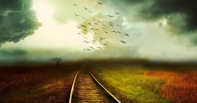 Railroad Tracks 4688247 1280