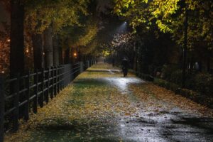 The Way Home From Work 4839411 1280