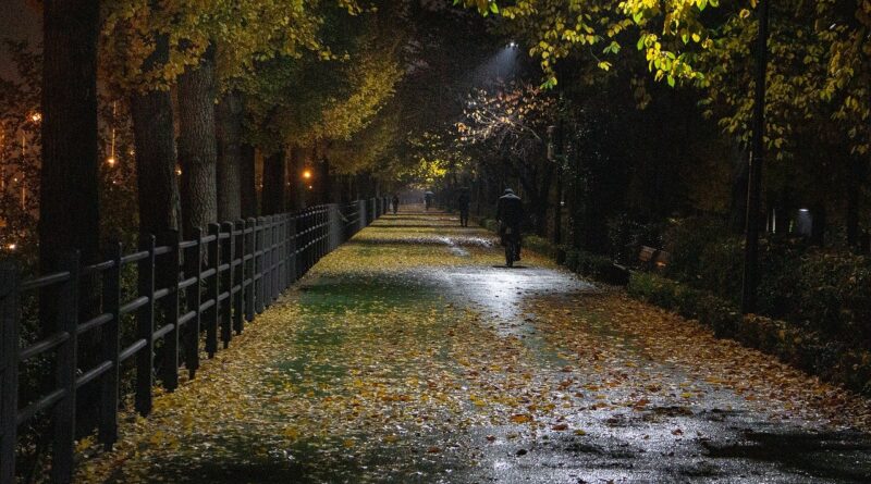 The Way Home From Work 4839411 1280