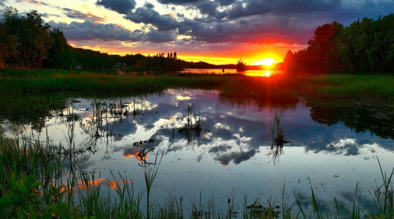 landscape 5338147 1280 (1)