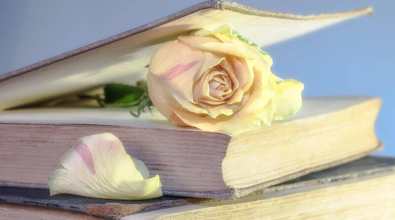 rose 2101475 1280 (1)