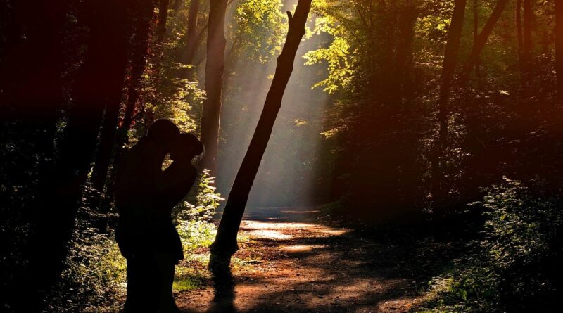 few 1362858 1280 (2)